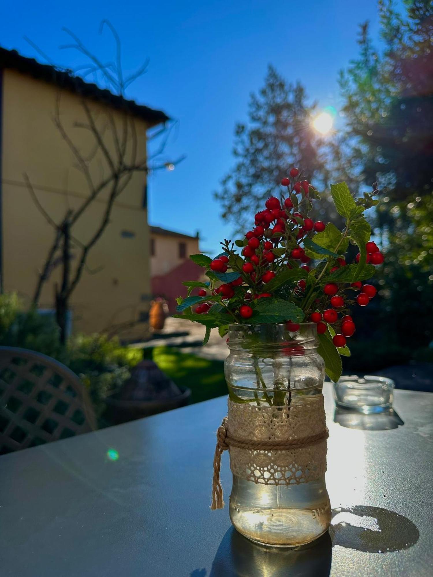Agriturismo Casa Alle Vacche San Gimignano Exterior foto