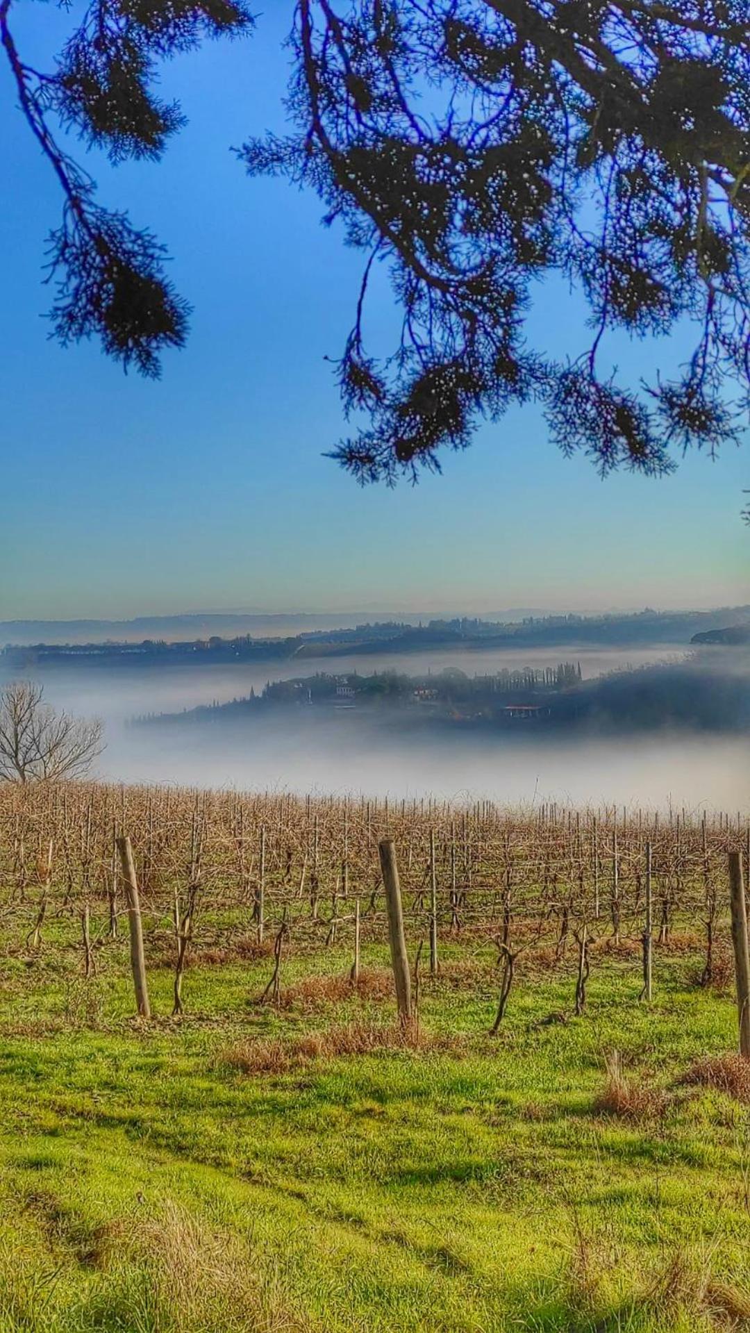 Agriturismo Casa Alle Vacche San Gimignano Exterior foto